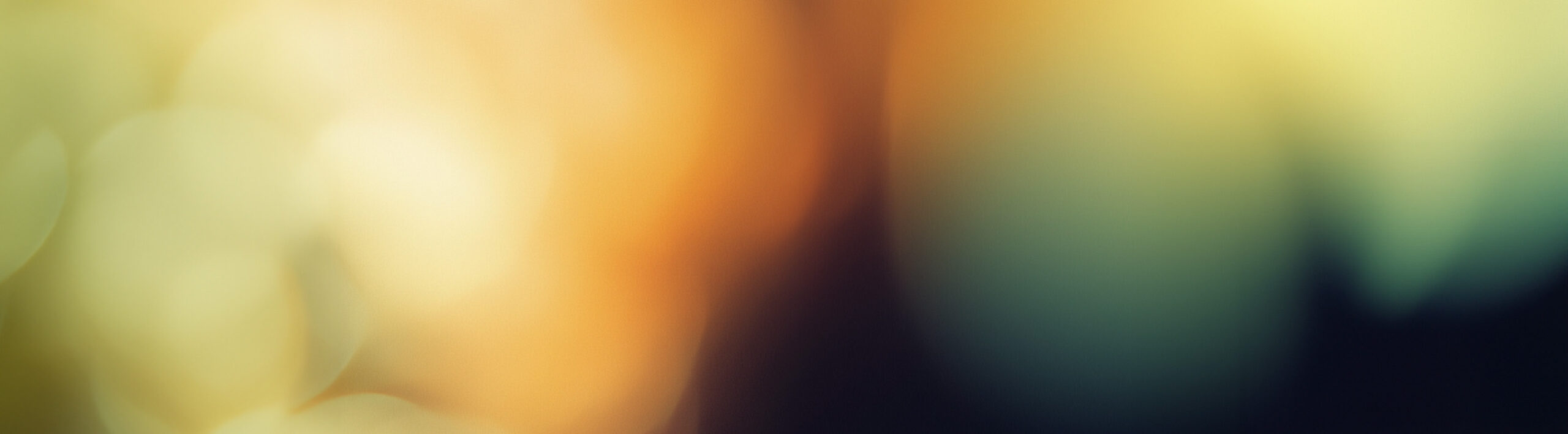 SoFu